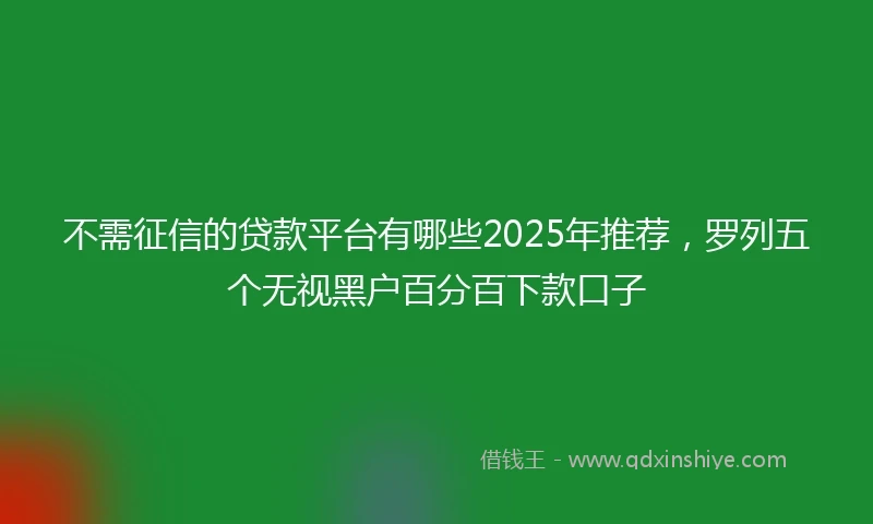 不需征信的贷款平台有哪些2025年推荐，罗列五个无视黑户百分百下款口子