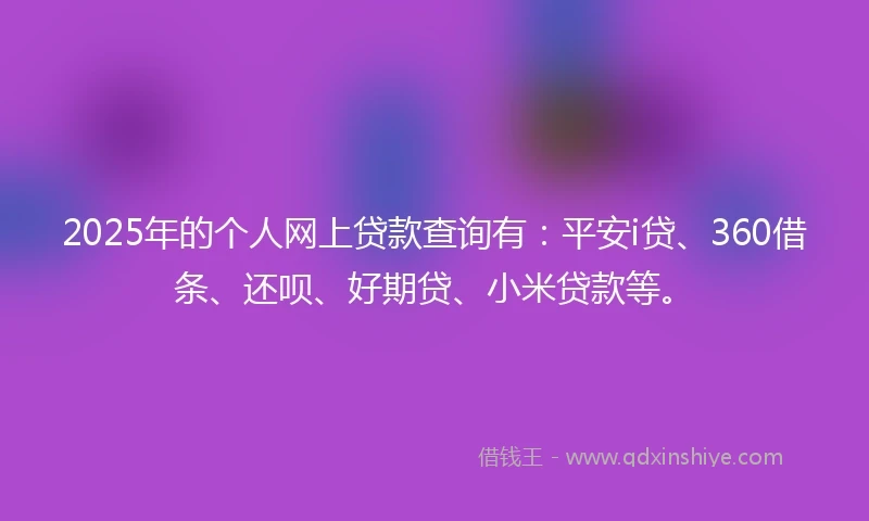 2025年的个人网上贷款查询有：平安i贷、360借条、还呗、好期贷、小米贷款等。