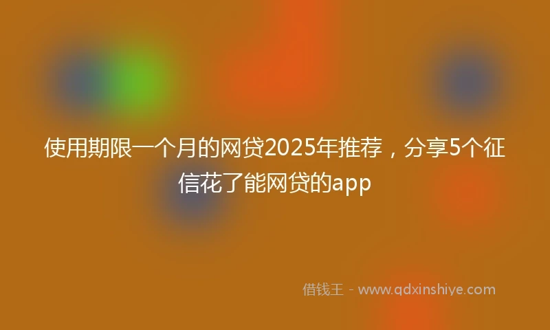 使用期限一个月的网贷2025年推荐，分享5个征信花了能网贷的app