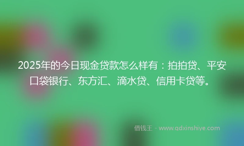 2025年的今日现金贷款怎么样有：拍拍贷、平安口袋银行、东方汇、滴水贷、信用卡贷等。