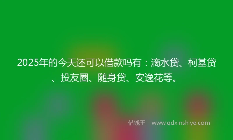 2025年的今天还可以借款吗有：滴水贷、柯基贷、投友圈、随身贷、安逸花等。
