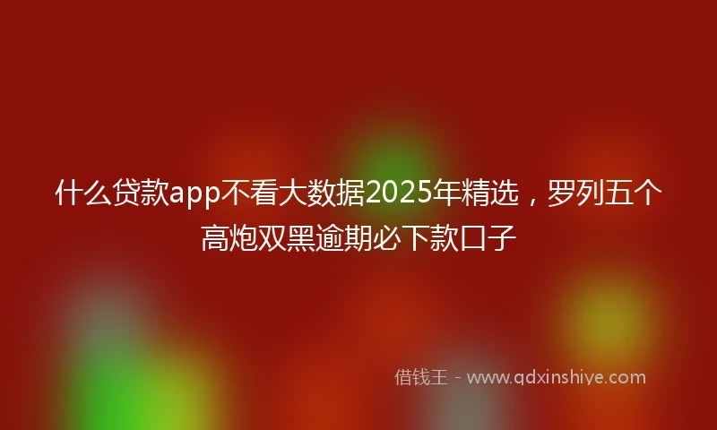 什么贷款app不看大数据2025年精选，罗列五个高炮双黑逾期必下款口子