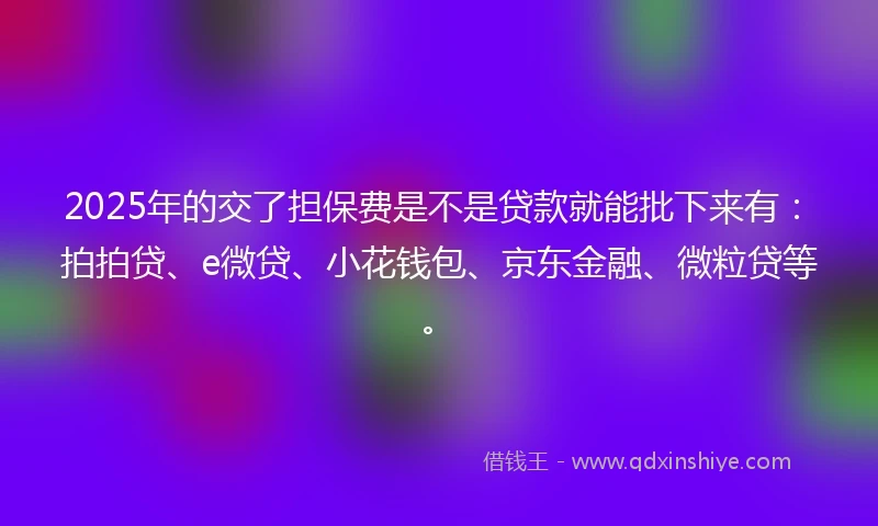 2025年的交了担保费是不是贷款就能批下来有：拍拍贷、e微贷、小花钱包、京东金融、微粒贷等。