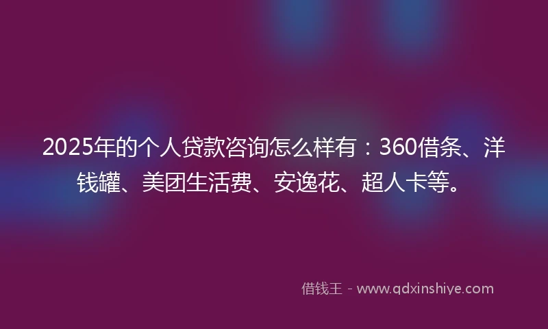 2025年的个人贷款咨询怎么样有：360借条、洋钱罐、美团生活费、安逸花、超人卡等。