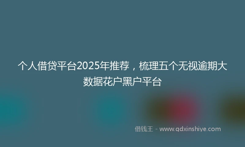 个人借贷平台2025年推荐，梳理五个无视逾期大数据花户黑户平台