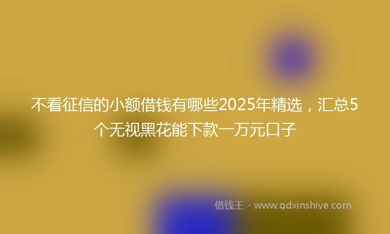 不看征信的小额借钱有哪些2025年精选，汇总5个无视黑花能下款一万元口子
