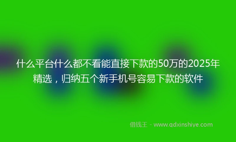 什么平台什么都不看能直接下款的50万的2025年精选，归纳五个新手机号容易下款的软件