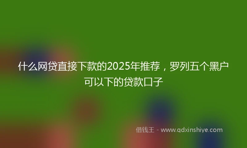什么网贷直接下款的2025年推荐，罗列五个黑户可以下的贷款口子