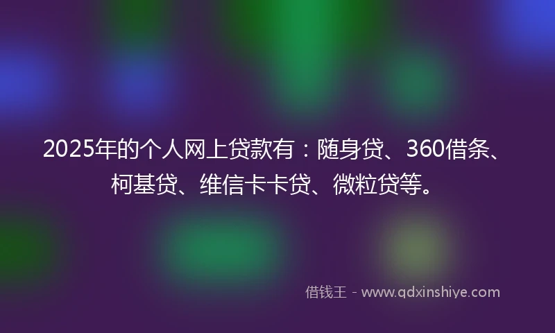 2025年的个人网上贷款有：随身贷、360借条、柯基贷、维信卡卡贷、微粒贷等。