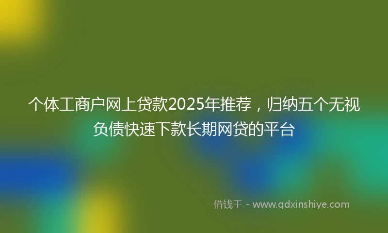 个体工商户网上贷款2025年推荐，归纳五个无视负债快速下款长期网贷的平台