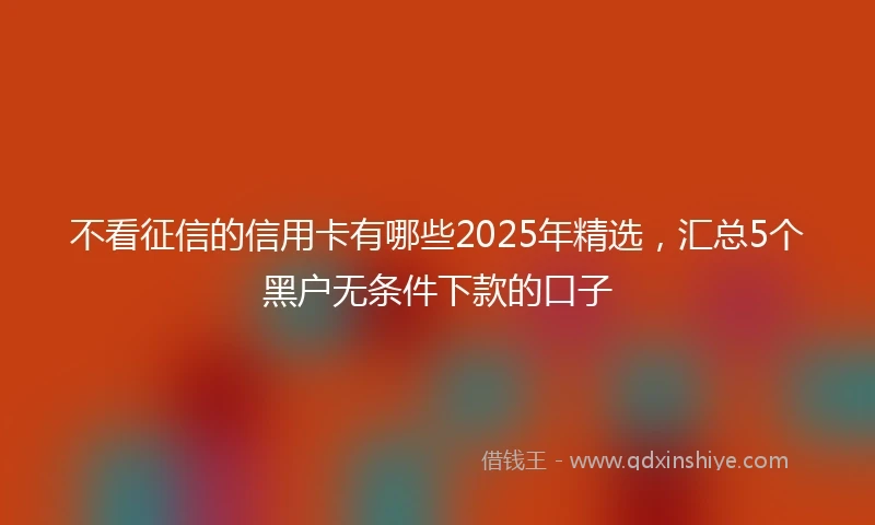 不看征信的信用卡有哪些2025年精选，汇总5个黑户无条件下款的口子