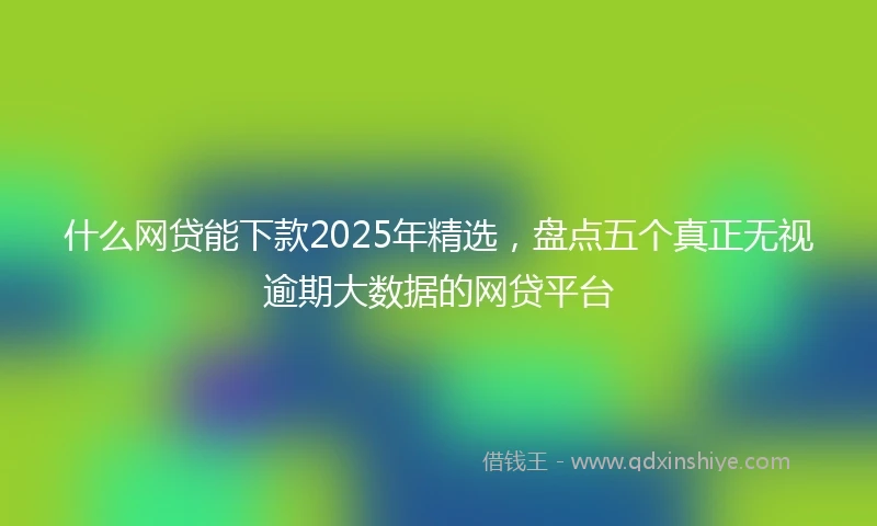 什么网贷能下款2025年精选，盘点五个真正无视逾期大数据的网贷平台