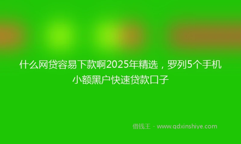 什么网贷容易下款啊2025年精选，罗列5个手机小额黑户快速贷款口子