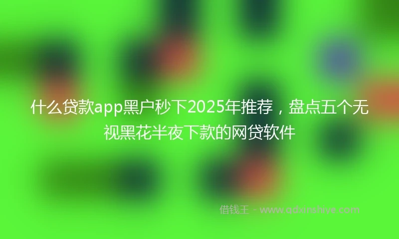 什么贷款app黑户秒下2025年推荐，盘点五个无视黑花半夜下款的网贷软件