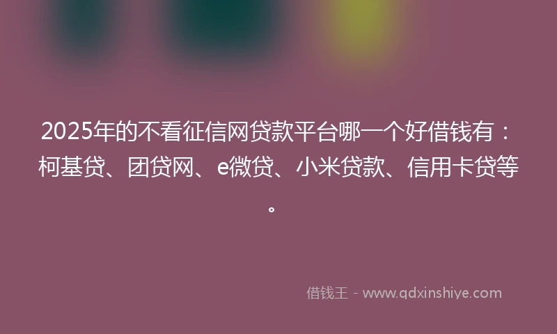 2025年的不看征信网贷款平台哪一个好借钱有：柯基贷、团贷网、e微贷、小米贷款、信用卡贷等。