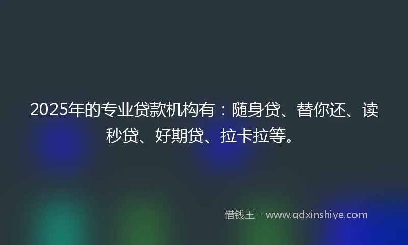 2025年的专业贷款机构有：随身贷、替你还、读秒贷、好期贷、拉卡拉等。