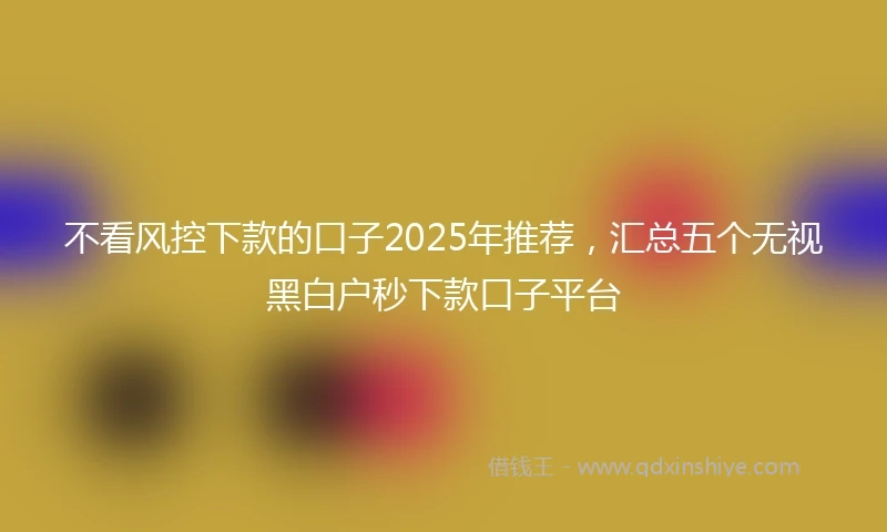 不看风控下款的口子2025年推荐，汇总五个无视黑白户秒下款口子平台