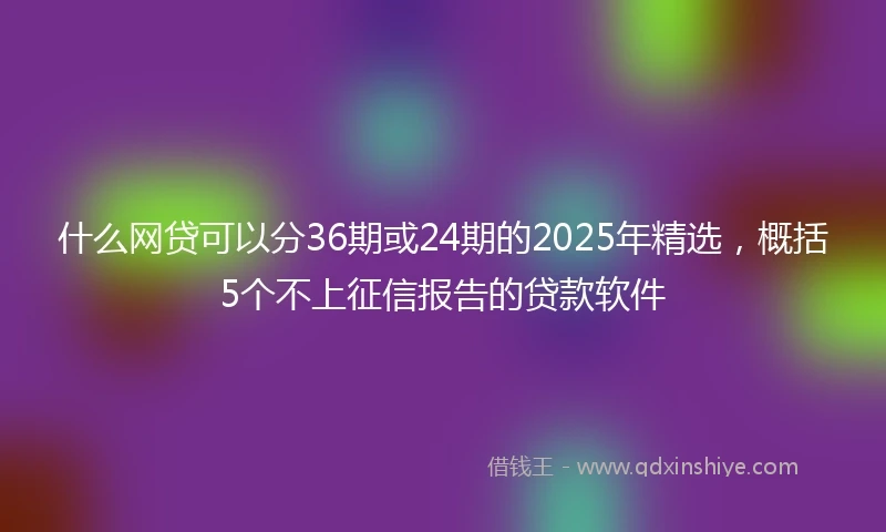 什么网贷可以分36期或24期的2025年精选，概括5个不上征信报告的贷款软件