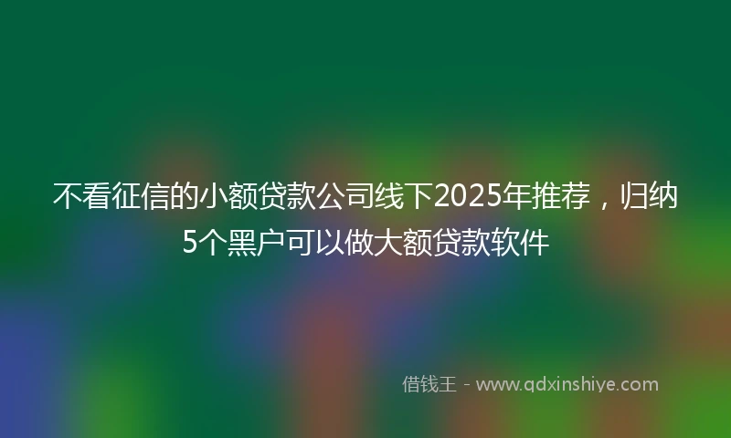 不看征信的小额贷款公司线下2025年推荐，归纳5个黑户可以做大额贷款软件