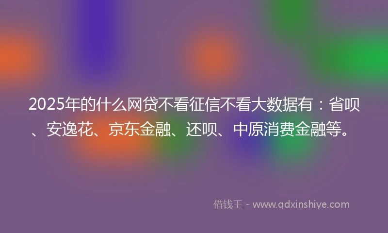 2025年的什么网贷不看征信不看大数据有：省呗、安逸花、京东金融、还呗、中原消费金融等。