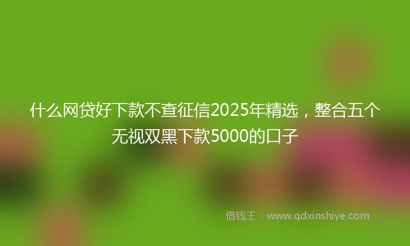 什么网贷好下款不查征信2025年精选，整合五个无视双黑下款5000的口子