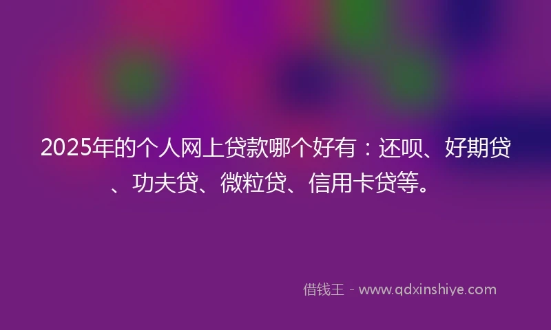2025年的个人网上贷款哪个好有：还呗、好期贷、功夫贷、微粒贷、信用卡贷等。