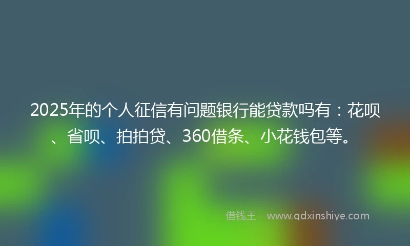 2025年的个人征信有问题银行能贷款吗有：花呗、省呗、拍拍贷、360借条、小花钱包等。