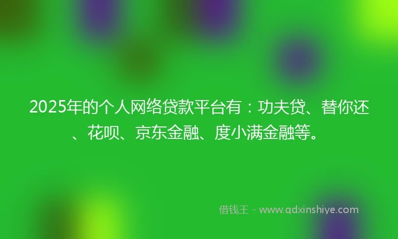 2025年的个人网络贷款平台有：功夫贷、替你还、花呗、京东金融、度小满金融等。
