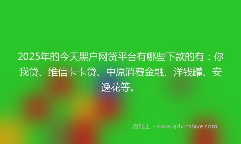 2025年的今天黑户网贷平台有哪些下款的有：你我贷、维信卡卡贷、中原消费金融、洋钱罐、安逸花等。