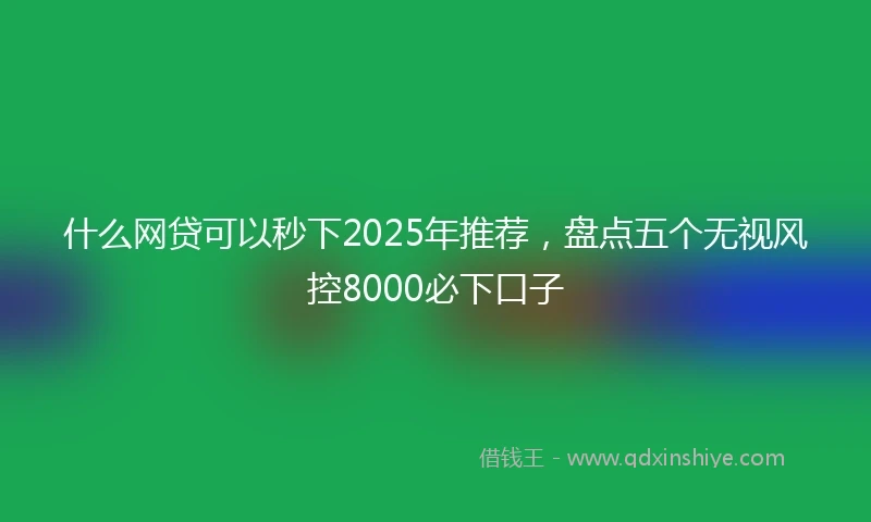 什么网贷可以秒下2025年推荐，盘点五个无视风控8000必下口子