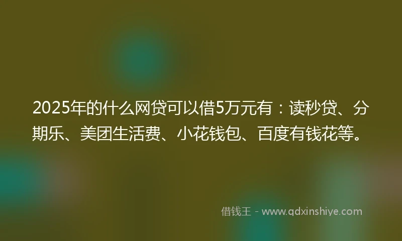 2025年的什么网贷可以借5万元有：读秒贷、分期乐、美团生活费、小花钱包、百度有钱花等。