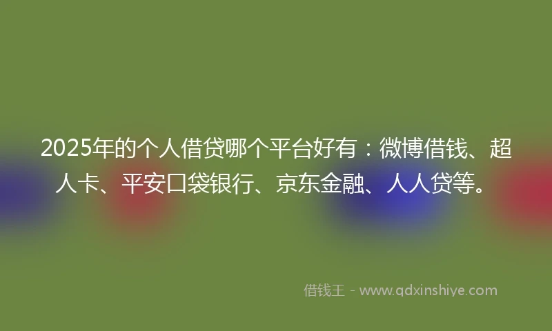 2025年的个人借贷哪个平台好有：微博借钱、超人卡、平安口袋银行、京东金融、人人贷等。