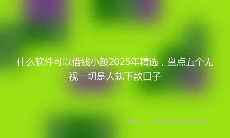 什么软件可以借钱小额2025年精选，盘点五个无视一切是人就下款口子