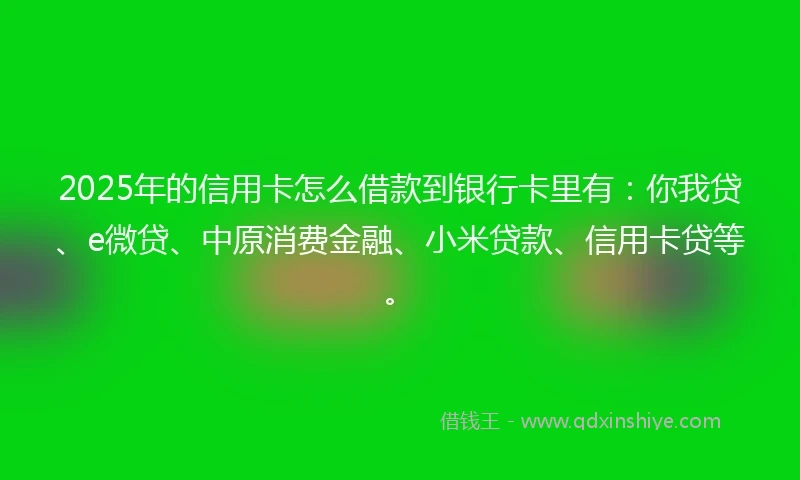 2025年的信用卡怎么借款到银行卡里有：你我贷、e微贷、中原消费金融、小米贷款、信用卡贷等。