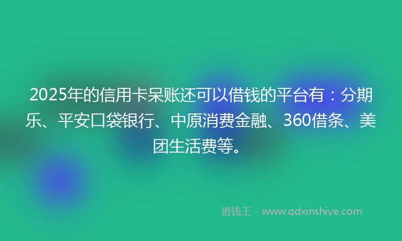 2025年的信用卡呆账还可以借钱的平台有：分期乐、平安口袋银行、中原消费金融、360借条、美团生活费等。