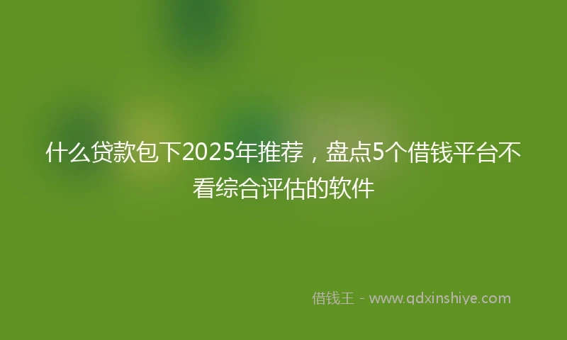 什么贷款包下2025年推荐，盘点5个借钱平台不看综合评估的软件