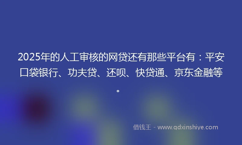 2025年的人工审核的网贷还有那些平台有：平安口袋银行、功夫贷、还呗、快贷通、京东金融等。