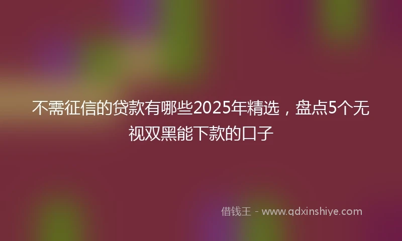 不需征信的贷款有哪些2025年精选，盘点5个无视双黑能下款的口子