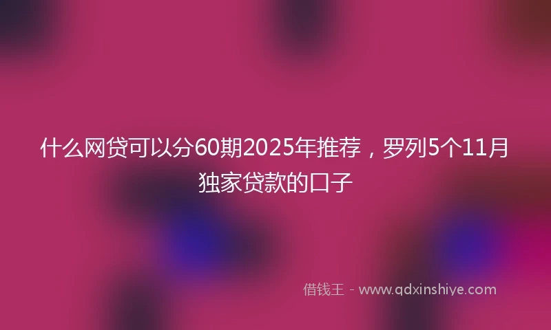 什么网贷可以分60期2025年推荐，罗列5个11月独家贷款的口子