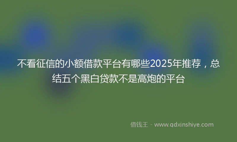 不看征信的小额借款平台有哪些2025年推荐，总结五个黑白贷款不是高炮的平台