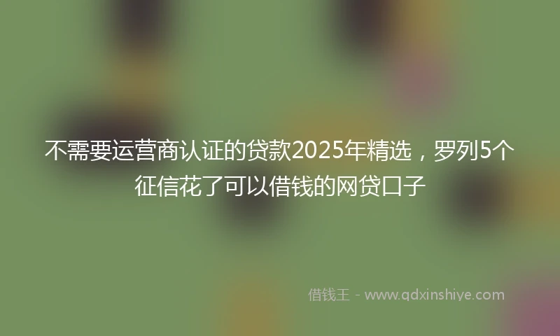不需要运营商认证的贷款2025年精选，罗列5个征信花了可以借钱的网贷口子