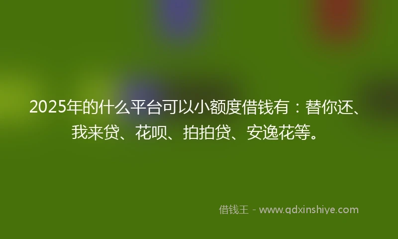 2025年的什么平台可以小额度借钱有：替你还、我来贷、花呗、拍拍贷、安逸花等。