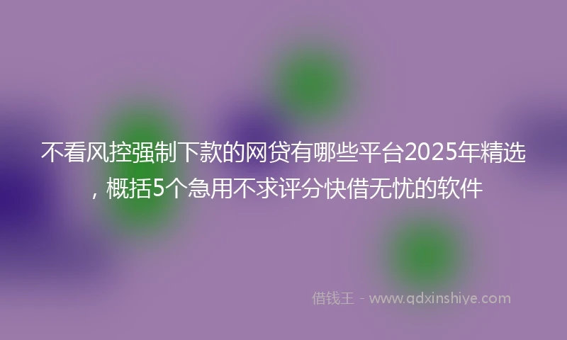 不看风控强制下款的网贷有哪些平台2025年精选，概括5个急用不求评分快借无忧的软件