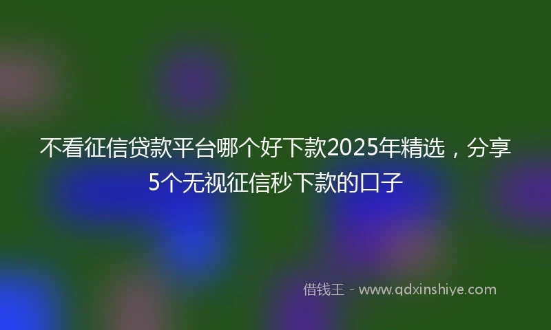 不看征信贷款平台哪个好下款2025年精选，分享5个无视征信秒下款的口子