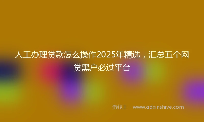 人工办理贷款怎么操作2025年精选，汇总五个网贷黑户必过平台