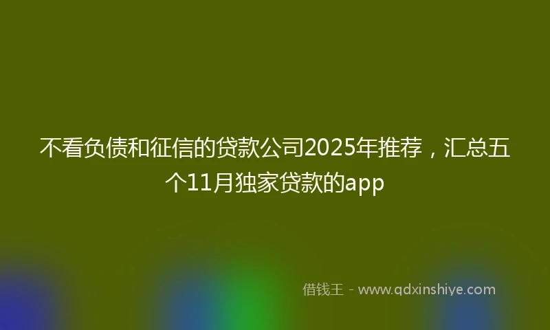 不看负债和征信的贷款公司2025年推荐，汇总五个11月独家贷款的app