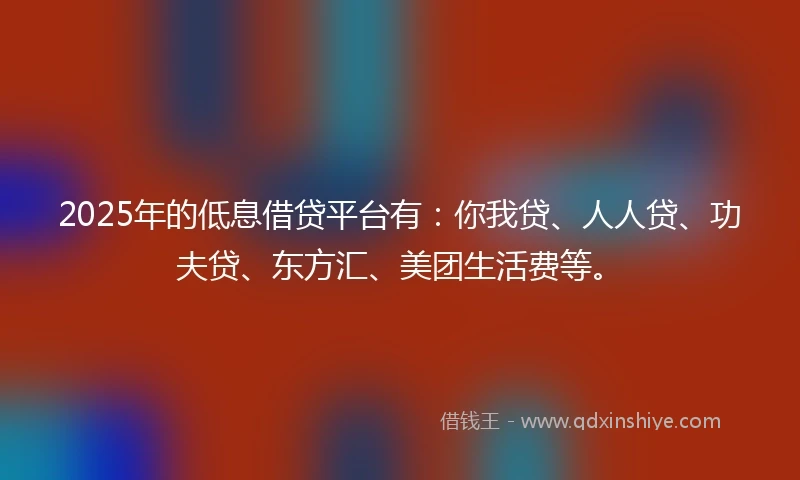 2025年的低息借贷平台有：你我贷、人人贷、功夫贷、东方汇、美团生活费等。
