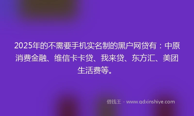 2025年的不需要手机实名制的黑户网贷有：中原消费金融、维信卡卡贷、我来贷、东方汇、美团生活费等。