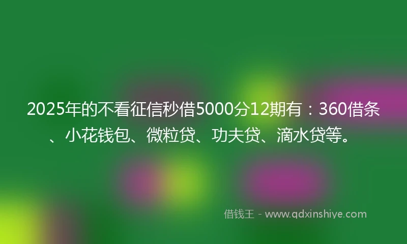 2025年的不看征信秒借5000分12期有：360借条、小花钱包、微粒贷、功夫贷、滴水贷等。