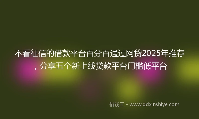 不看征信的借款平台百分百通过网贷2025年推荐，分享五个新上线贷款平台门槛低平台